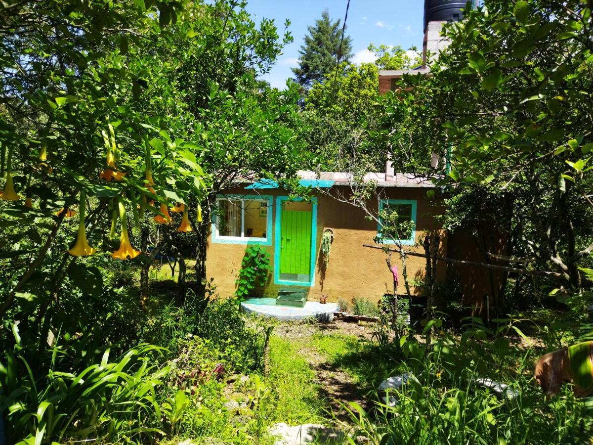 テポストランCasa Ecologicaアパートメント エクステリア 写真