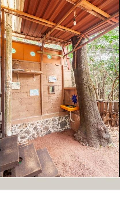 テポストランCasa Ecologicaアパートメント エクステリア 写真